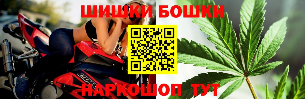 Конопля индика Лосино-Петровский